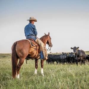 Meet your Posher, Mitchell